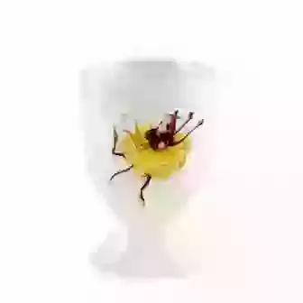 China Egg Cup